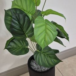 * NEW LOW PRICE * Faux 34" Calathia Potted Plant with Crushed Flourite Stone in a 14" Tall Resin Planter @ Lasting Creations