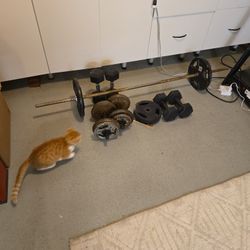 Weights Bundle Starter Set