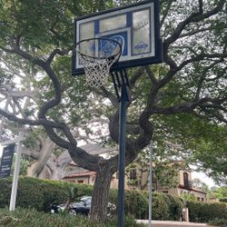 Basketball Stand/hoop