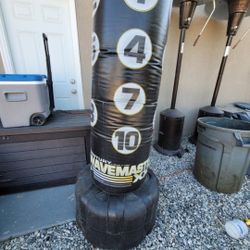 Xxl Wavemaster Punch Bag