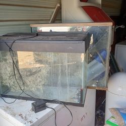 Reptile Tank