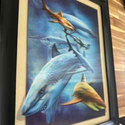 Large 3 D Shark Image With Frame 