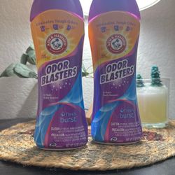 Arm & Hammer Odor Blasters In-Wash Scent Booster Crystals, Fresh Burst Scent 15oz