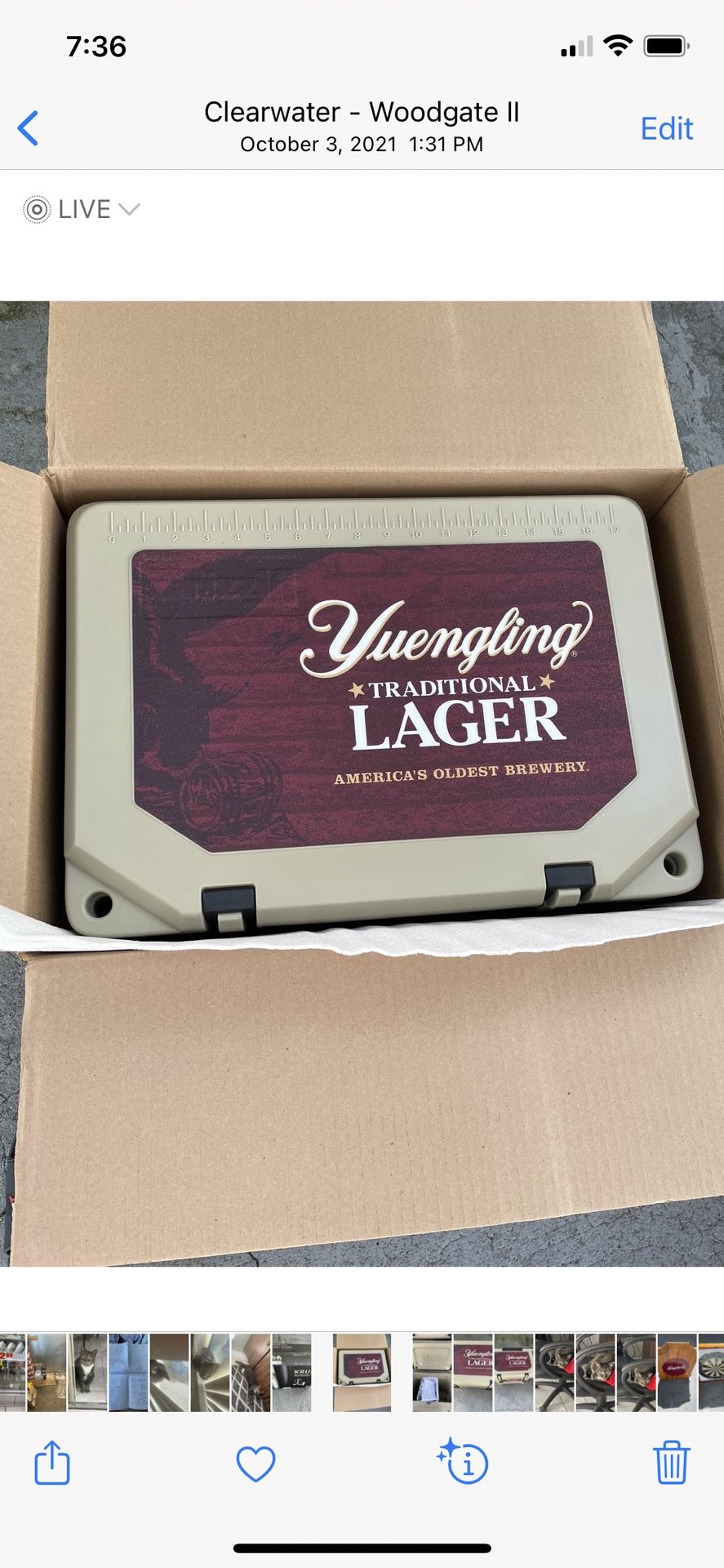 Yuengling Grizzly Cooler