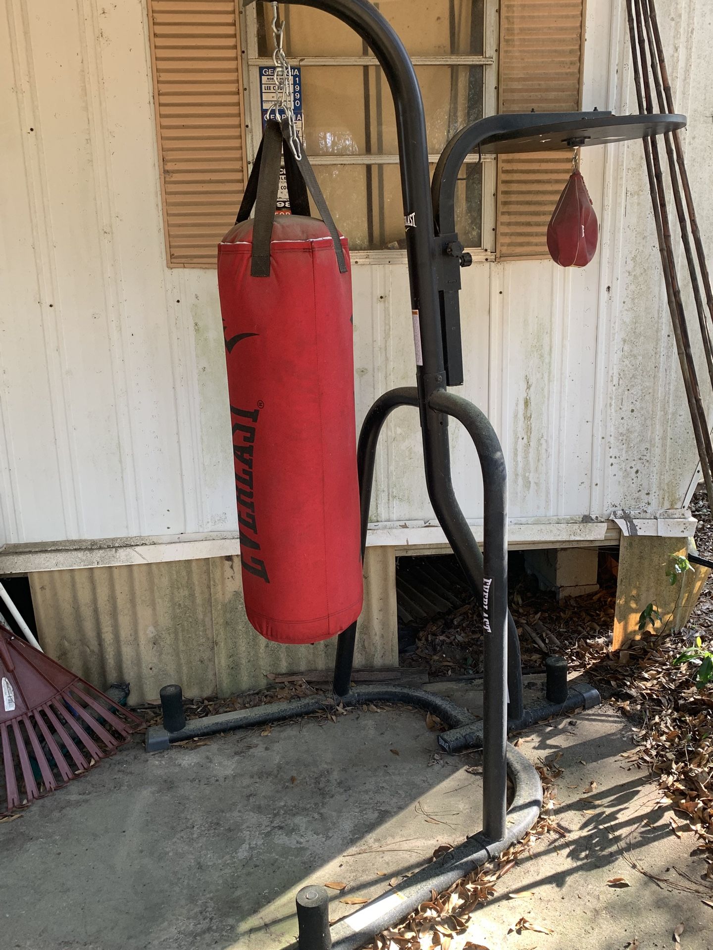 Everlast Punching Bag
