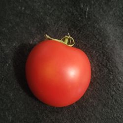 Organic Early Girl Tomato Seeds! 2026 SEASON EARLY RELEASE! Available Now! 