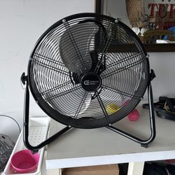 Fan 
