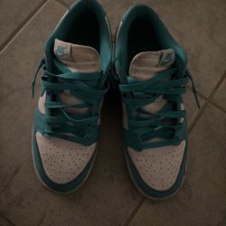 Nike dunks size 8.5
