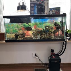 Fish Tank With Accessories 