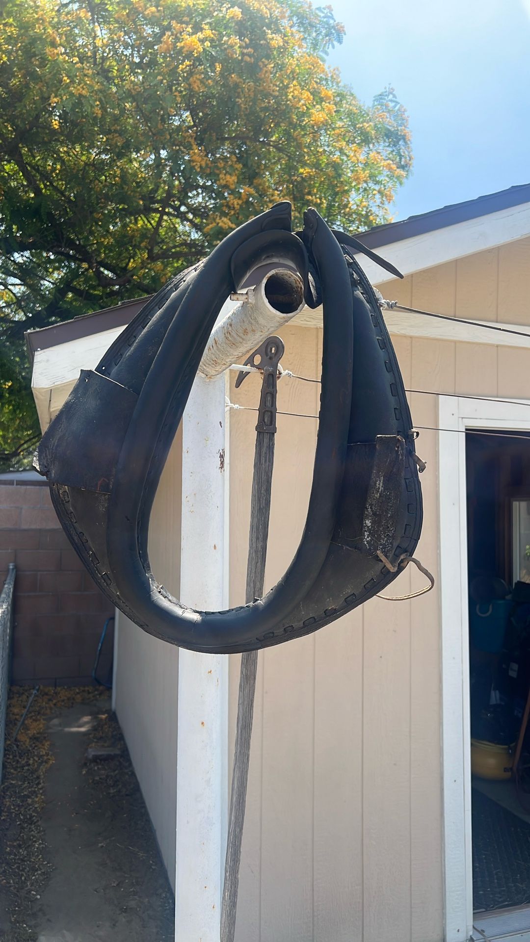 Horse Collar