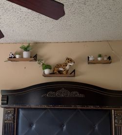 shelves