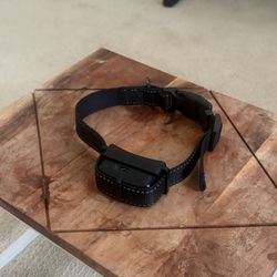 Bravowalk Collar - Large 