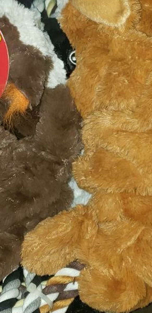 Brand New Dog Toy 3 Pack