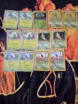 Pokemon GALLERY: Caterpie Metapod Butterfree