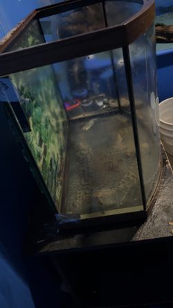 29 gallln bowfront fish tank (holds water)