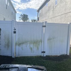 Cleaning  Pressure Wash