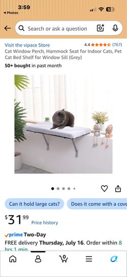Cat Window Perch