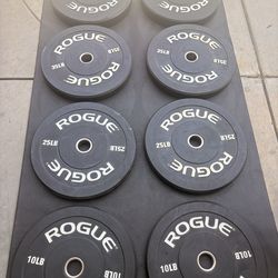 ROGUE ECHO BUMPER PLATES V2