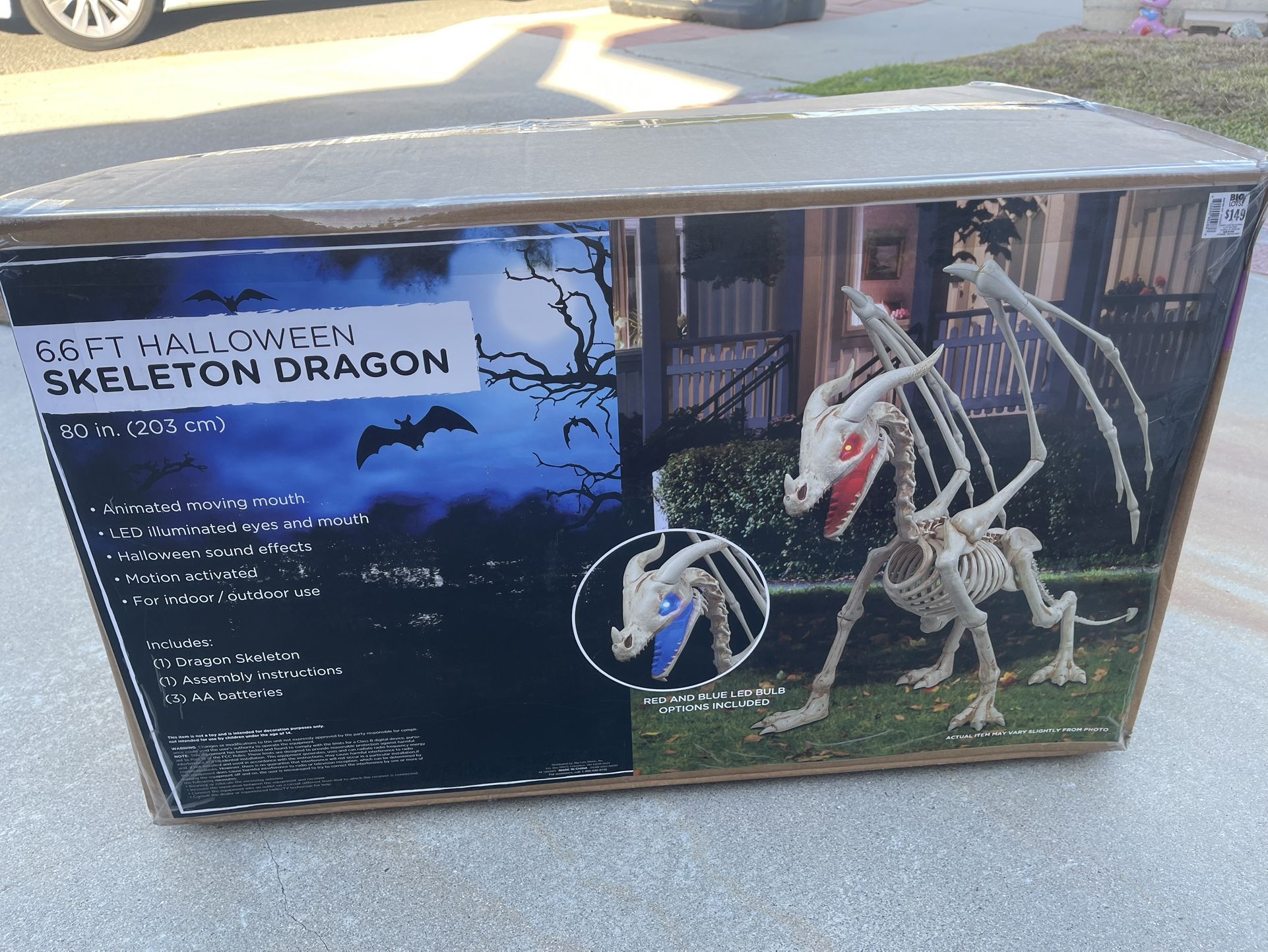 Dragon Skeleton