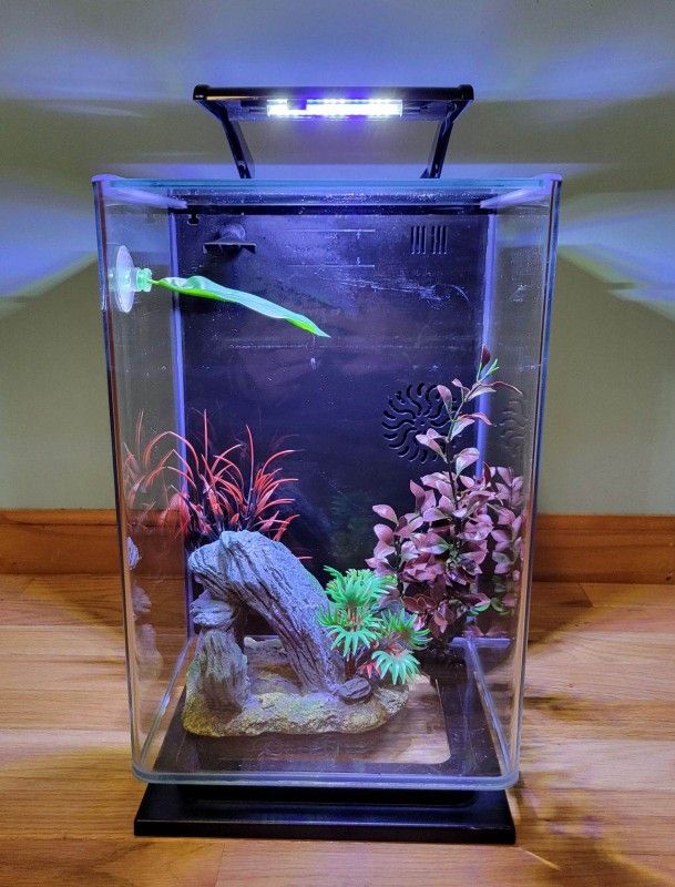 Aquarium Tank 5 Gallon