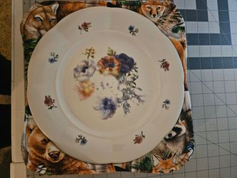 Plate cozy
