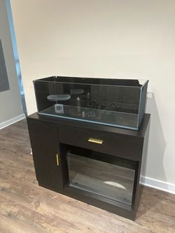 Rimless Aquarium Tank with Cabinet Stand