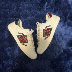 Gucci Ace Snakes