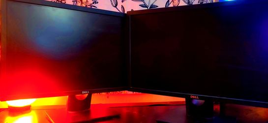 Two Dell Monitors 