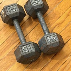 Pair of 15 lb Dumbbells