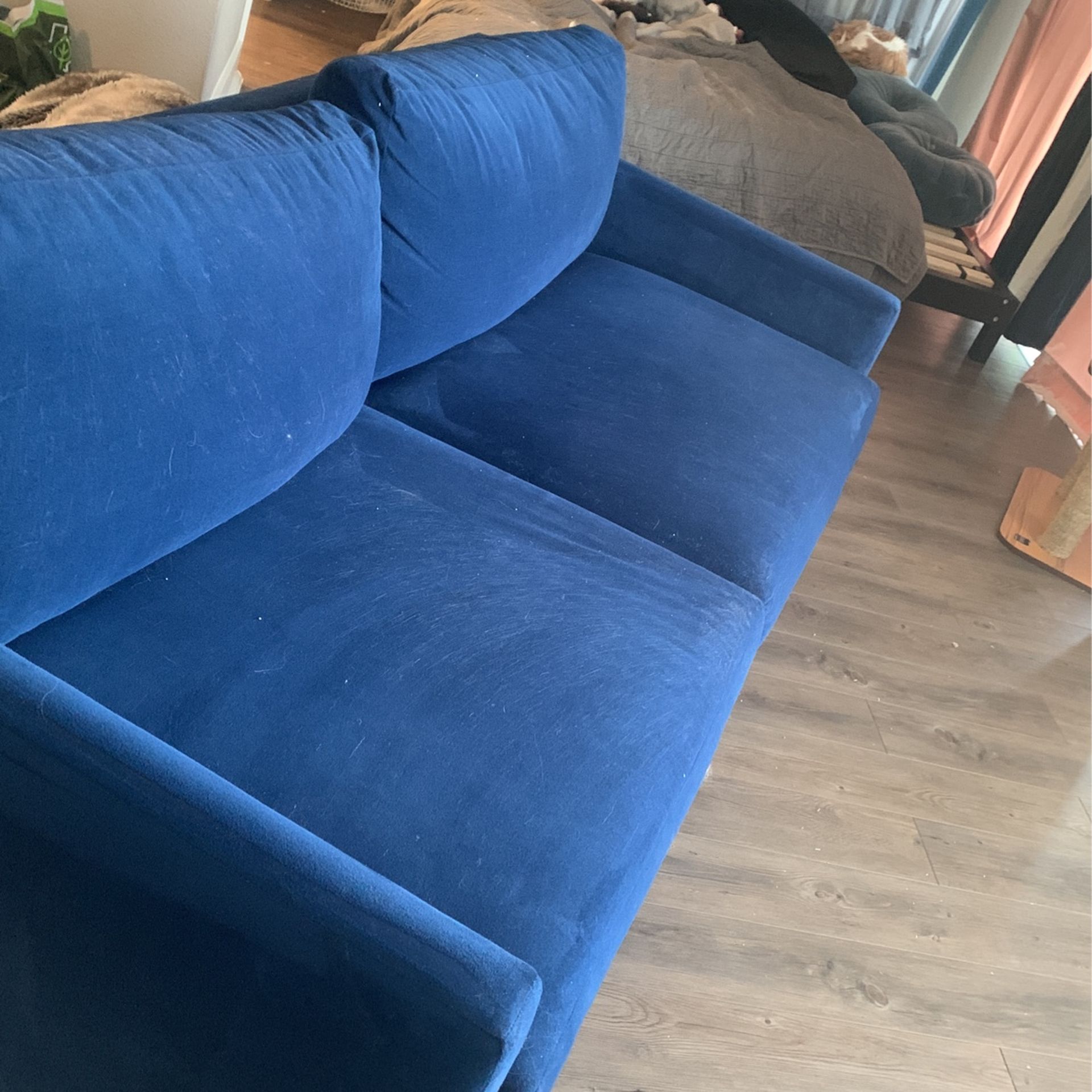 Blue Velvet Couch For Sale! 
