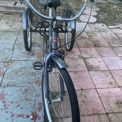 3 Wheel Bike 