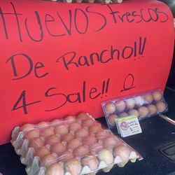 Fresh Farm Eggs