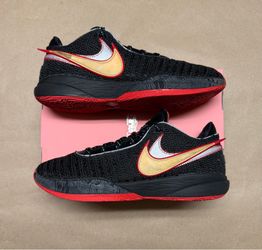 Nike Lebron 20 XX Trinity Men’s size 11.5 basketball shoes Rare!