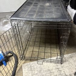 Giant Dog Kennel