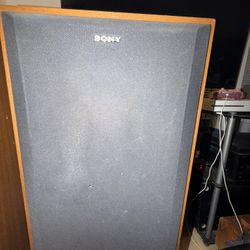 2 Big Sony Speaker