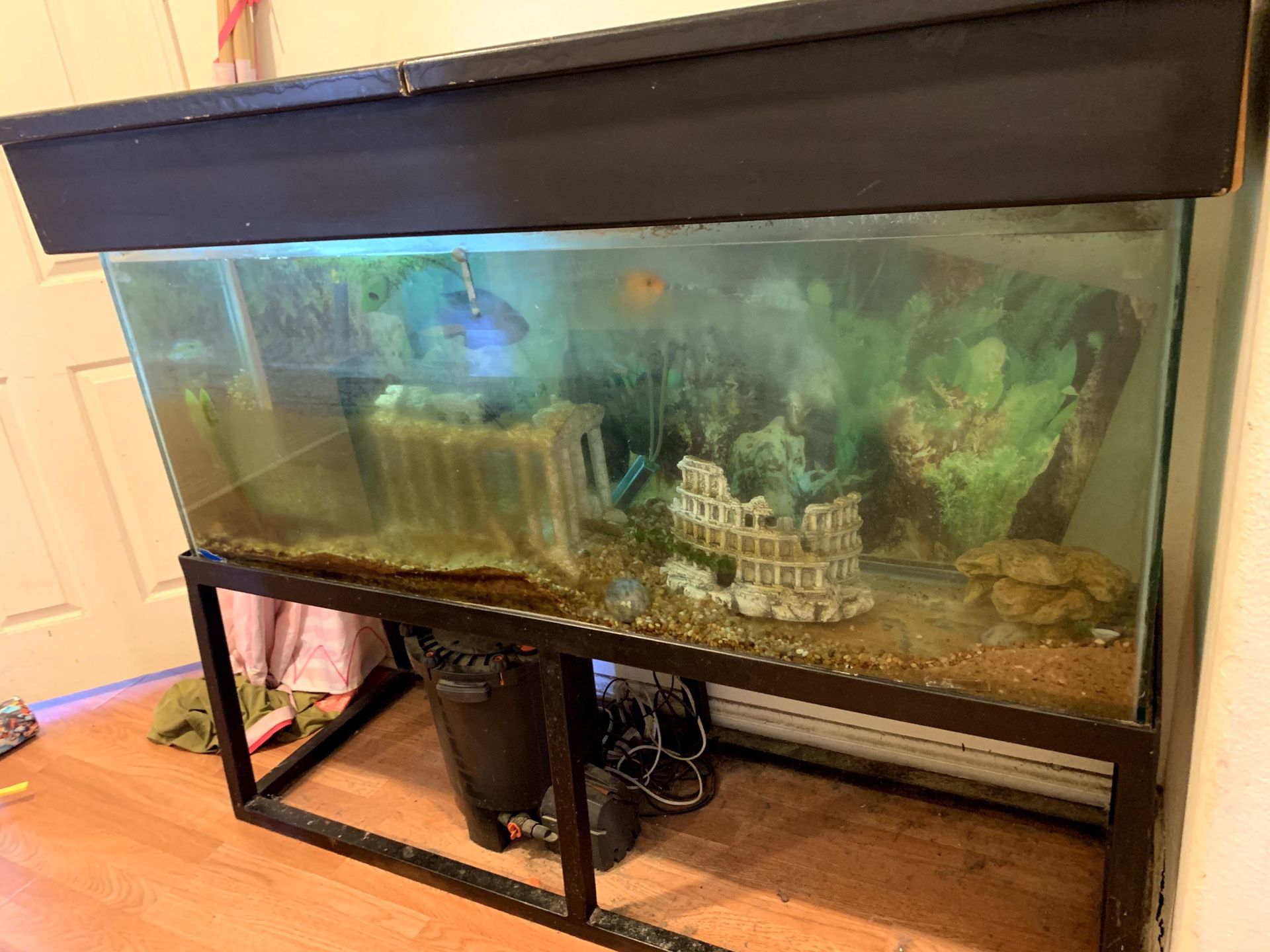 Fish tank