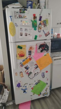 GE refrigerator