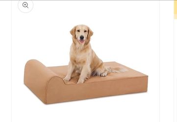 Chiropractic  education for dogs. (Big dogs)