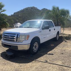 2010 Ford F-150