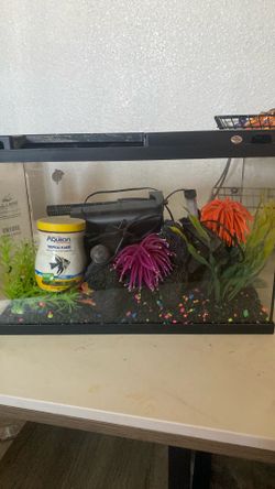 Fish Tank