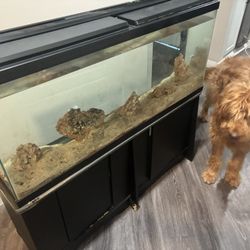 Free Aquarium 