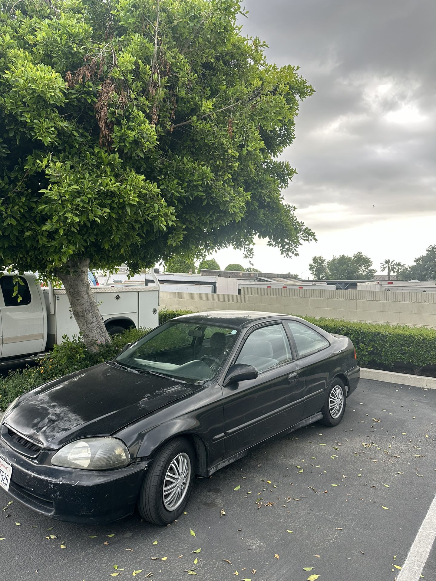 1998 Honda Civic