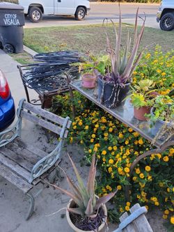 Random outdoor stuff for sale