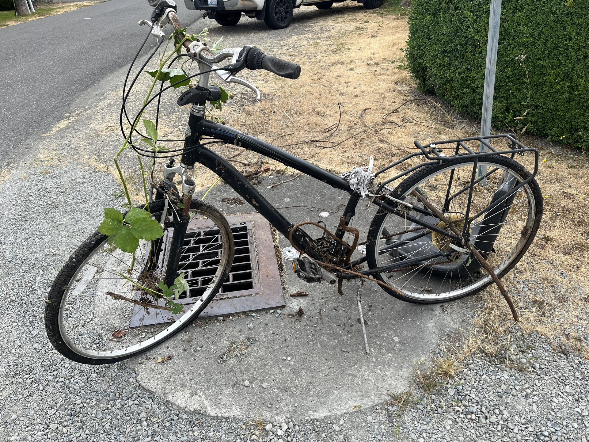 Free Bike