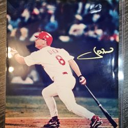 Signed JD Drew St. Louis Cardinals 8x10 Autograph Photo MLB Baseball