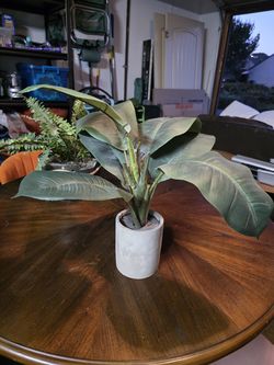 Cutie fake plants with ceramic pot