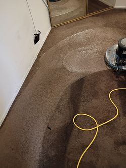 Carpet, alfombra, tile, y piso