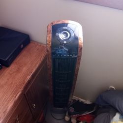 It Is A Great Fan