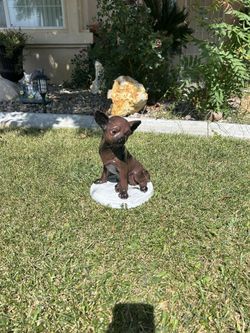 New Dog Made Out Of Cement 