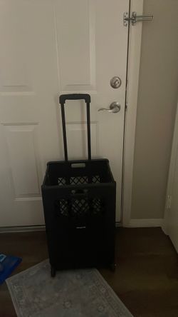 Grocery carrier